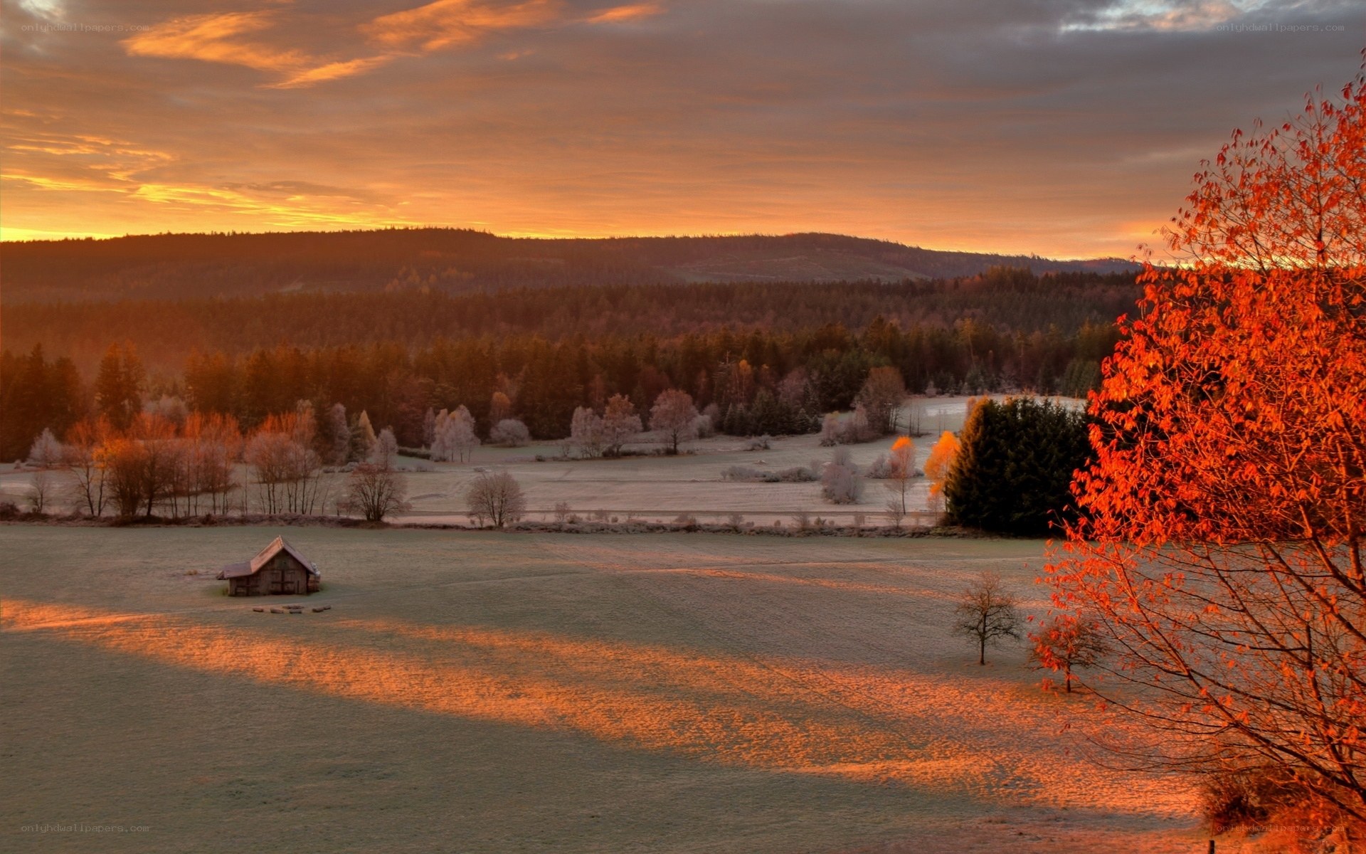 Autumn sunset over a frosty field