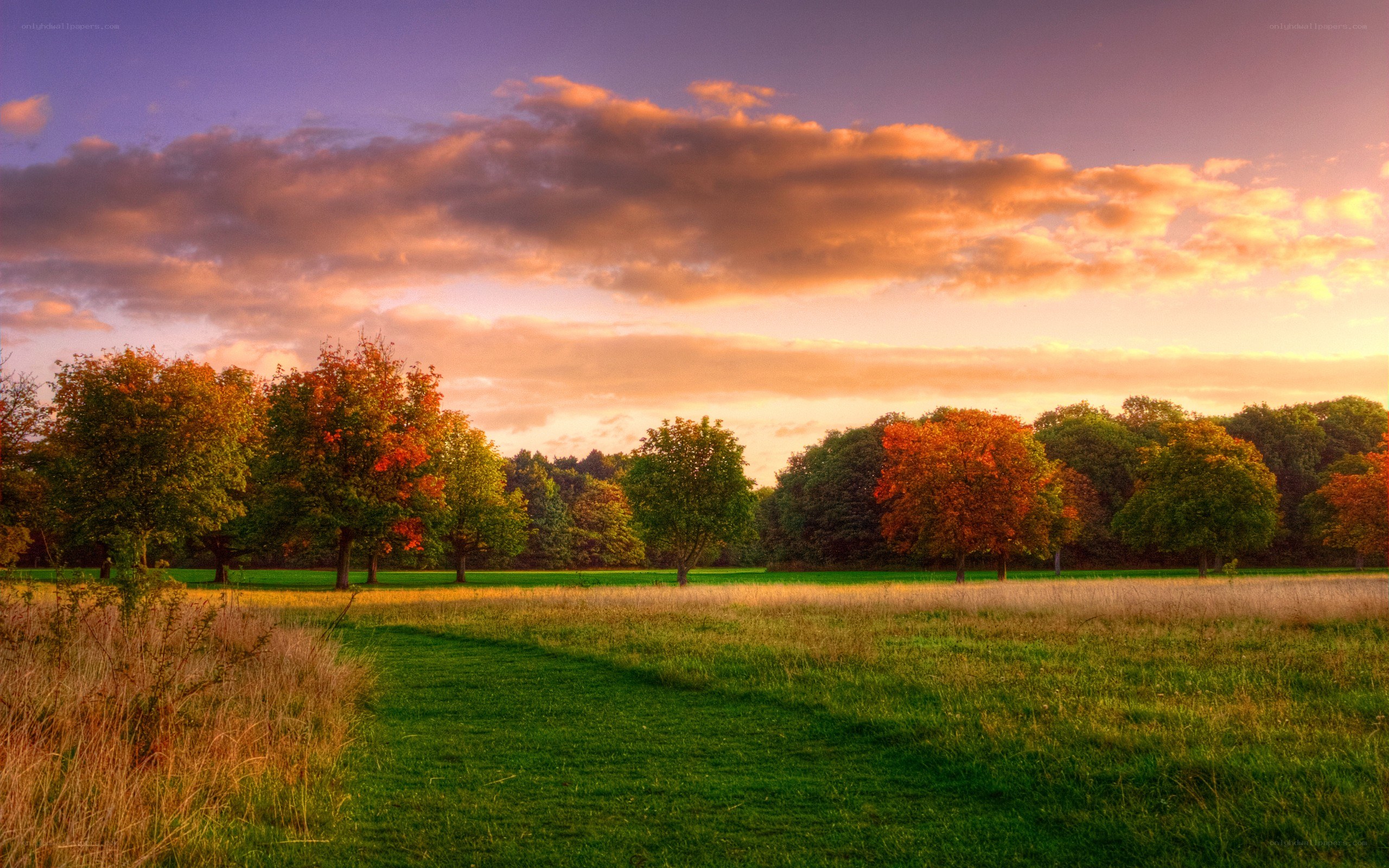 Autumn sunset over a grassy field