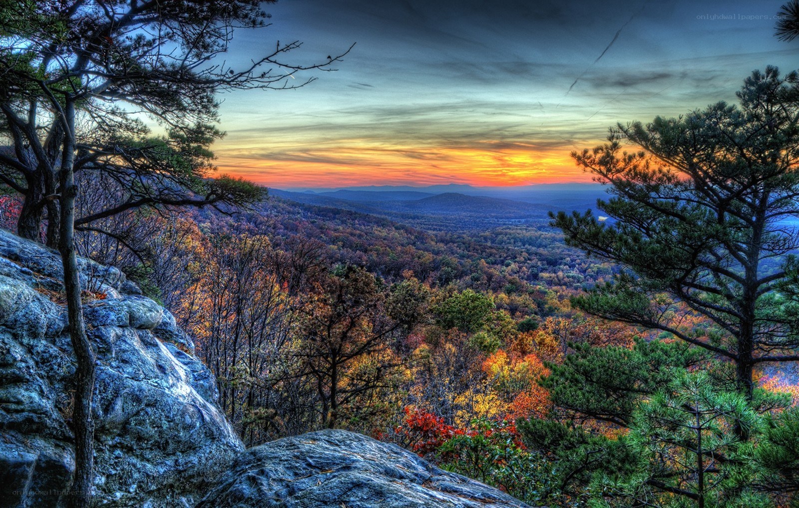Autumn sunset over forest valley