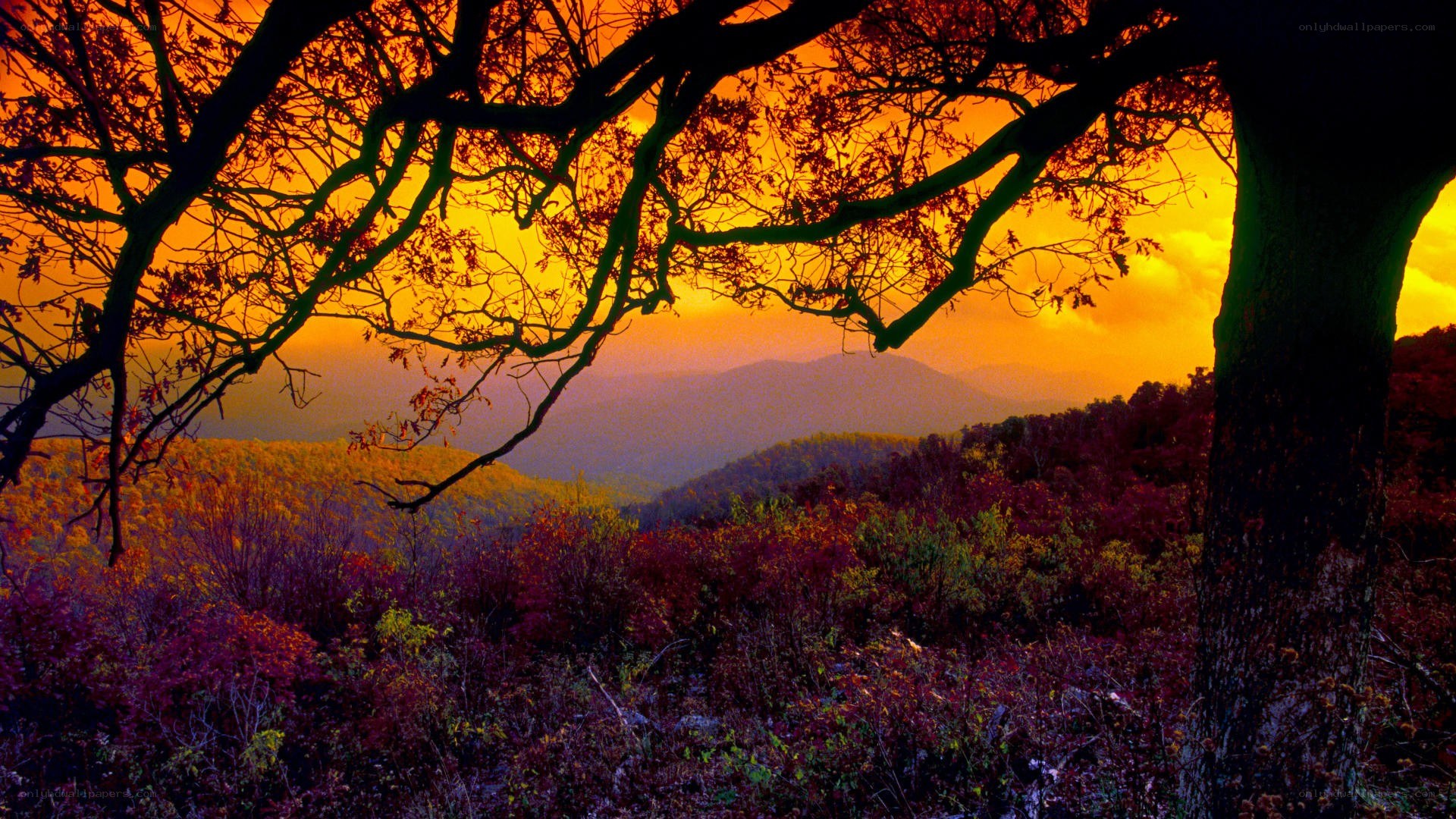 Autumn sunset over forested hills
