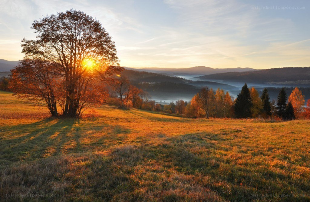 Autumn sunset over rolling hills