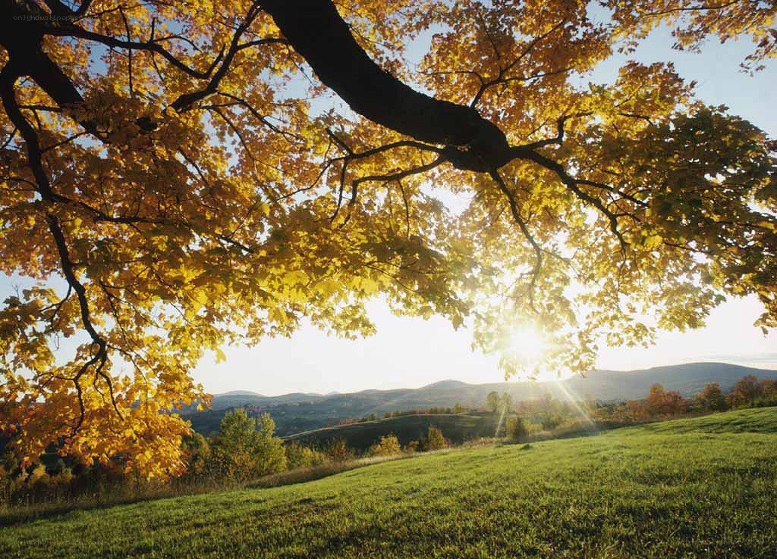 Autumn sunset over rolling hills