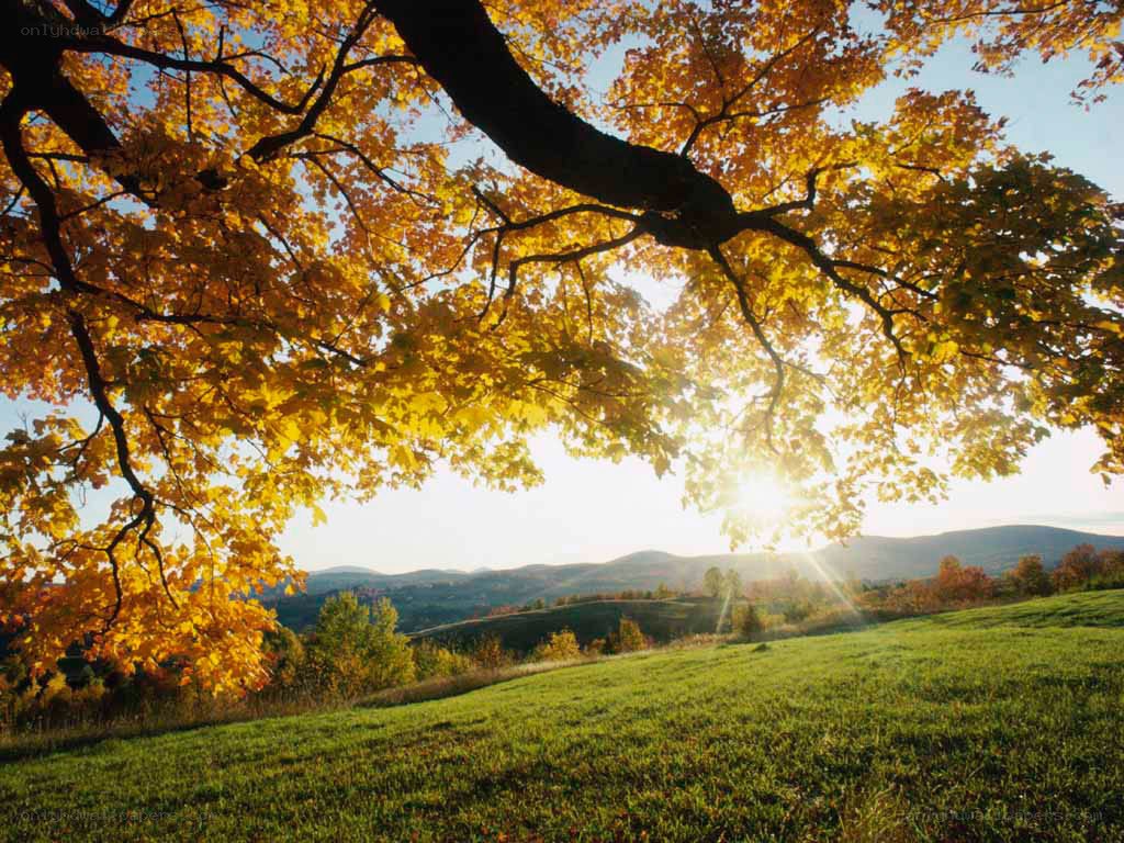 Autumn sunset over rolling hills