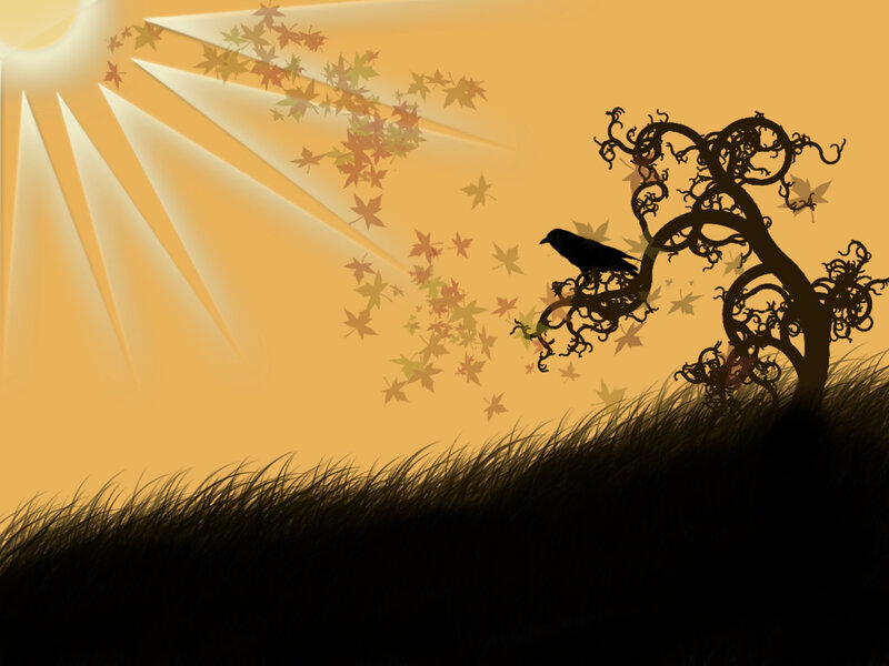 autumn sunset with crow