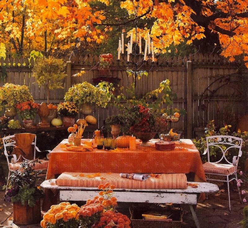 Autumn Table Setting — Orange, Cozy