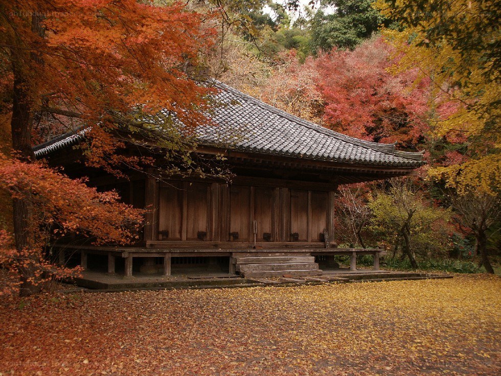 Autumn temple in Japan