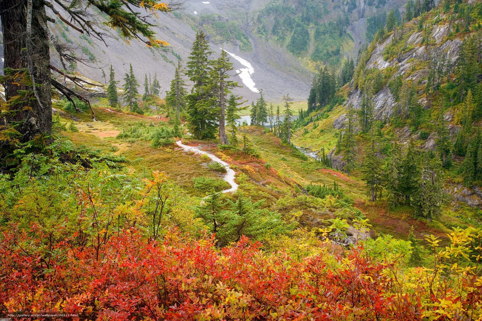 Autumn trail in mountain valley