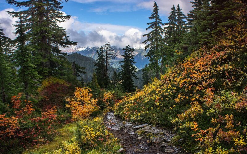 Autumn trail in the mountains