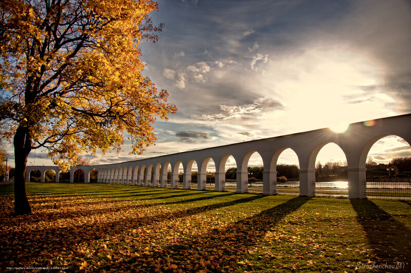 Autumn tree and arched bridge