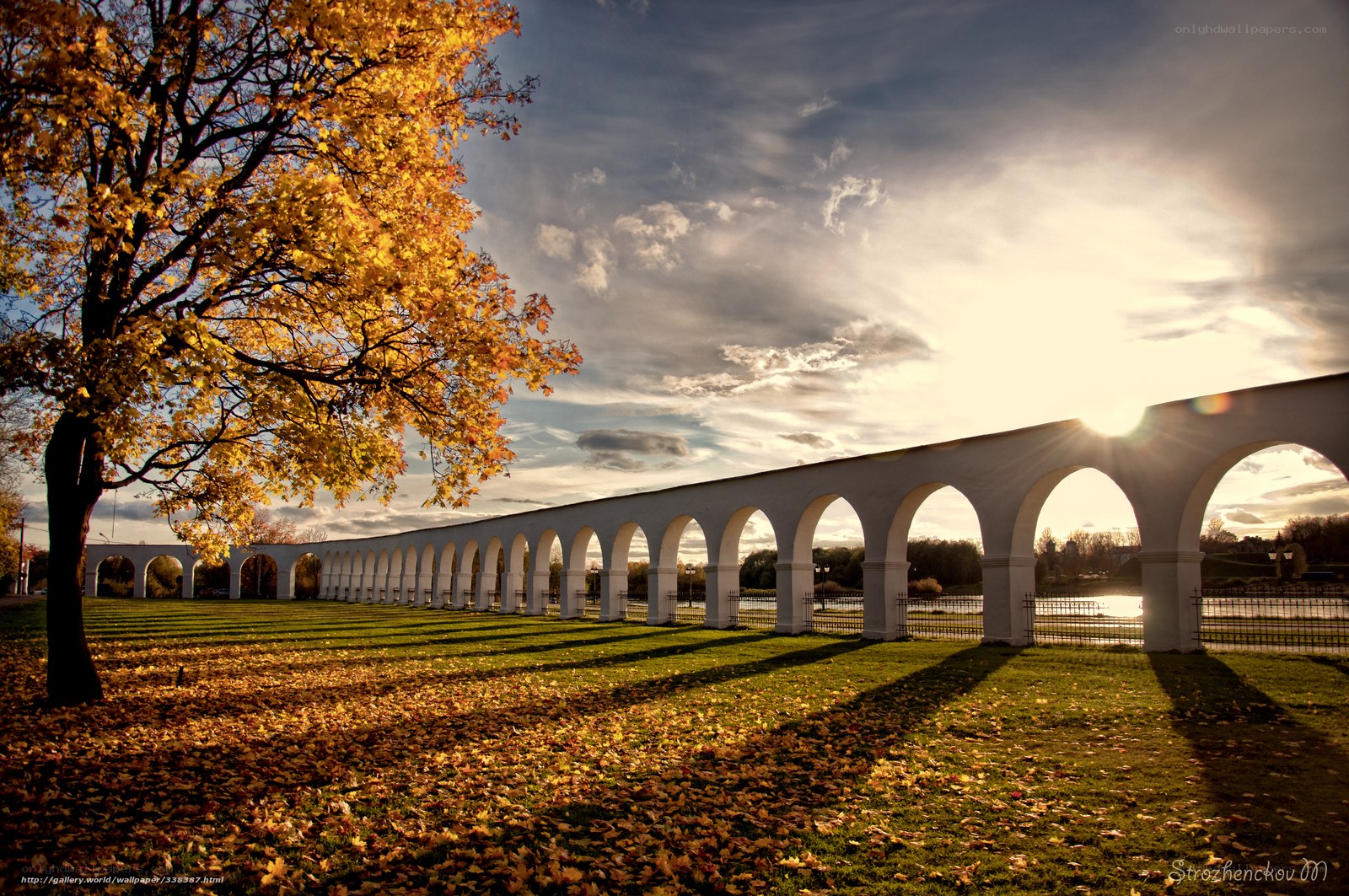 Autumn tree and arched bridge