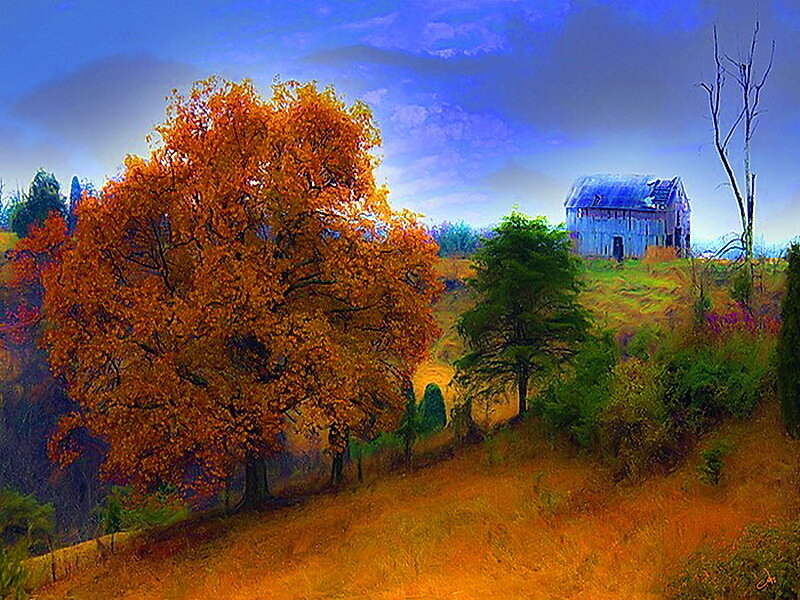 Autumn Tree and Barn