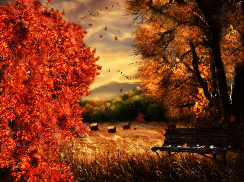 Autumn Tree and Bench