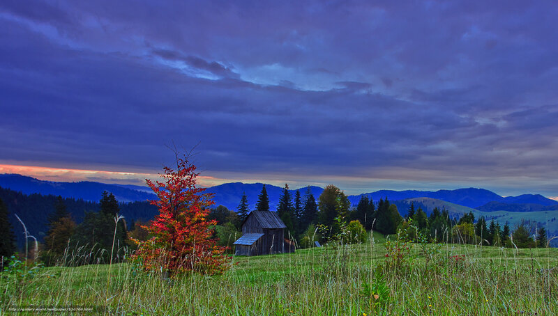 Autumn Tree and Cabin