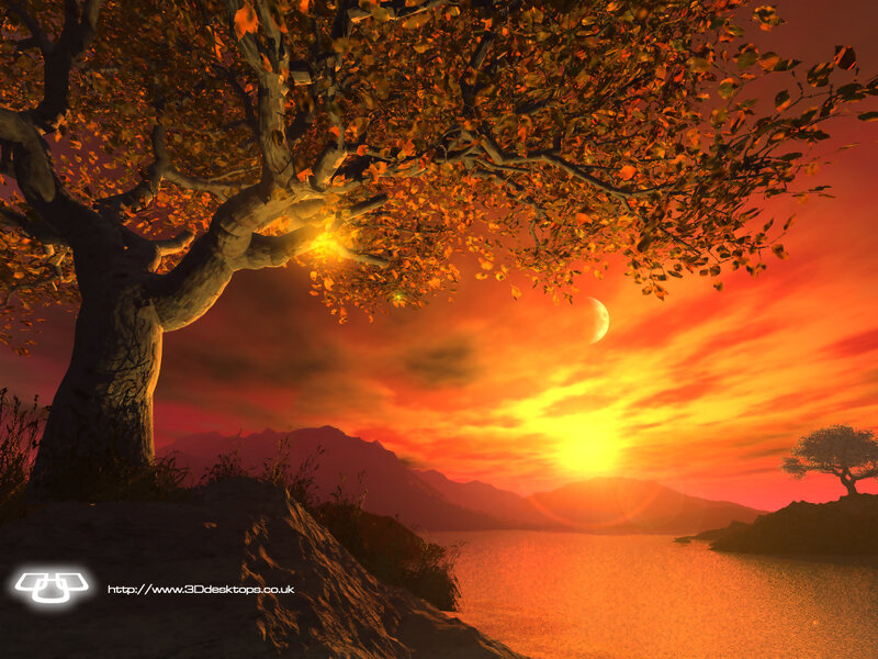 Autumn Tree at Sunset — Orange, Dramatic, Digital Art