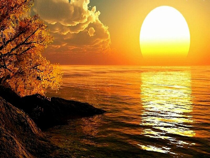 Autumn Tree at Sunset — Orange, Serene, Digital Art