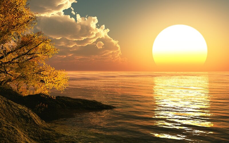 Autumn Tree at Sunset — Yellow