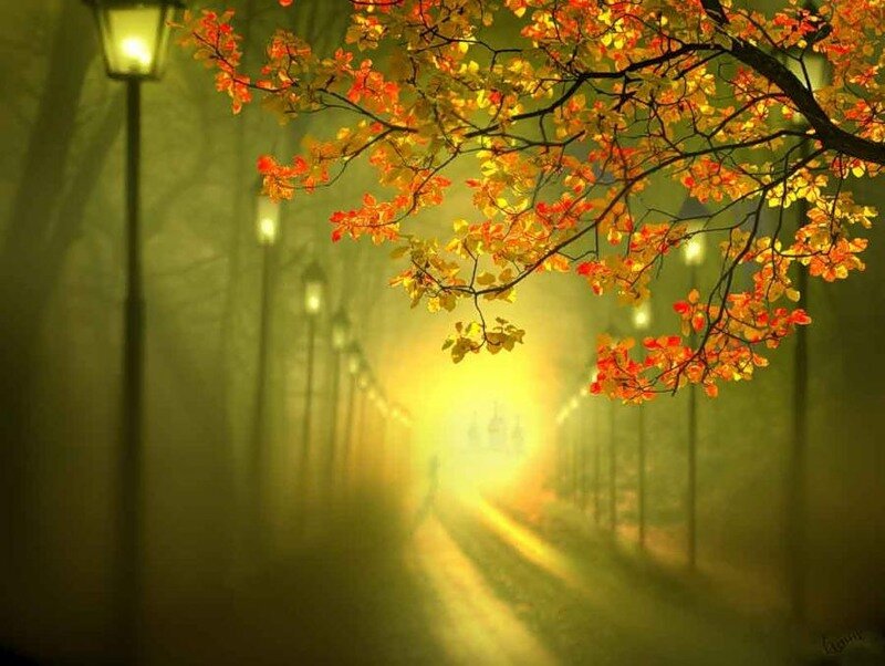 Autumn Tree Branch