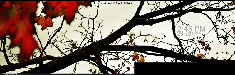 Autumn tree branches with red leaves