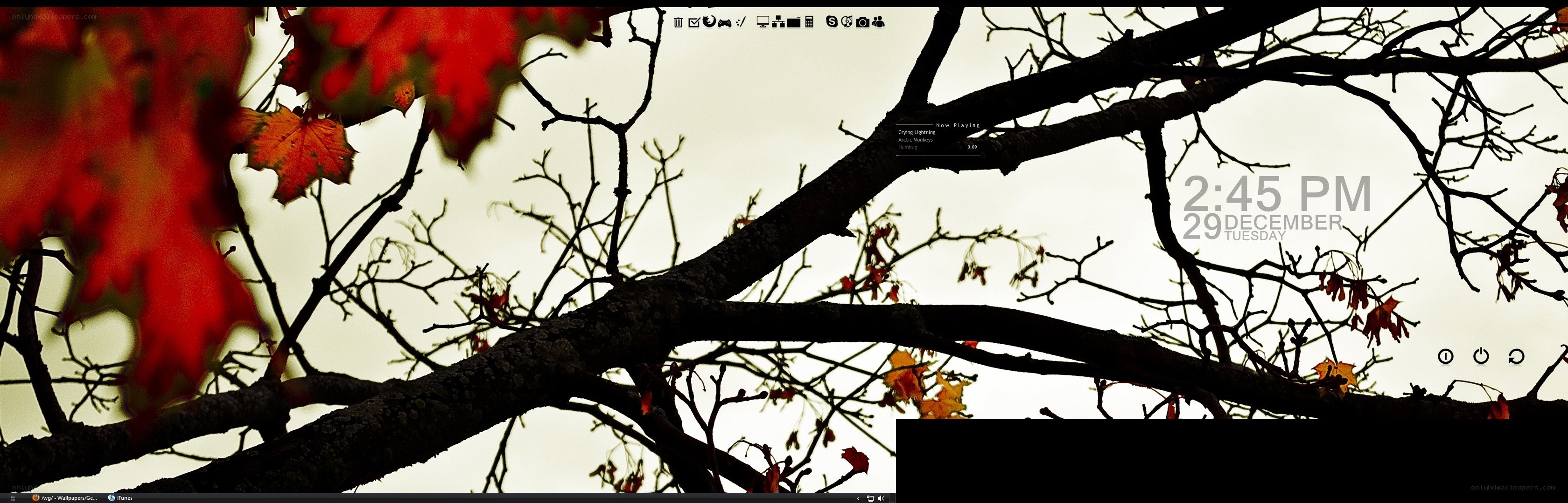 Autumn tree branches with red leaves