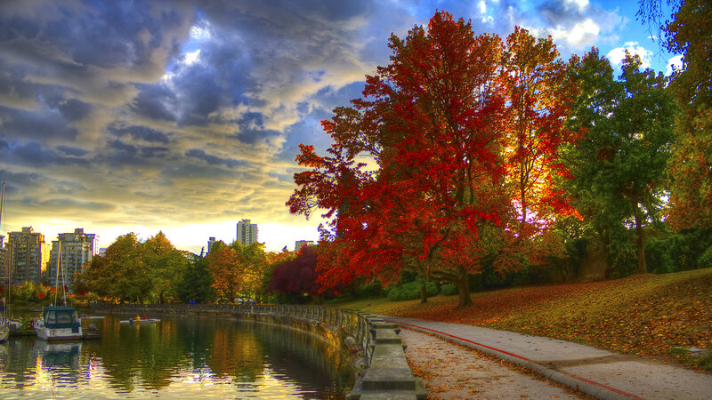 Autumn Tree by Canal