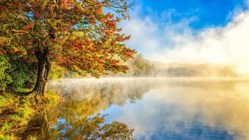 Autumn Tree by Lake — Blue, Serene, Morning