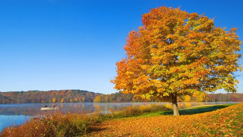 Autumn Tree by Lake — Blue, Serene, Photograph, Boat, Hills