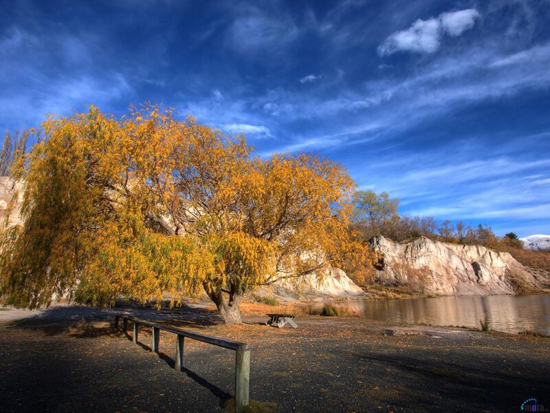 Autumn Tree by Lake — Blue, Serene, Photograph, Cliff