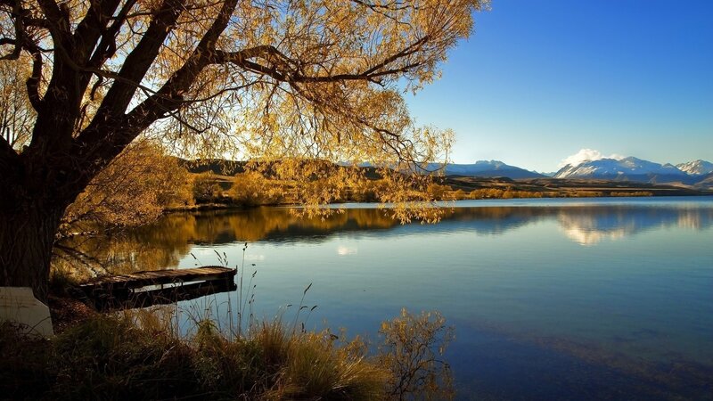 Autumn Tree by Lake — Blue, Serene, Photograph, Mountains, Dock, Gold, Brown