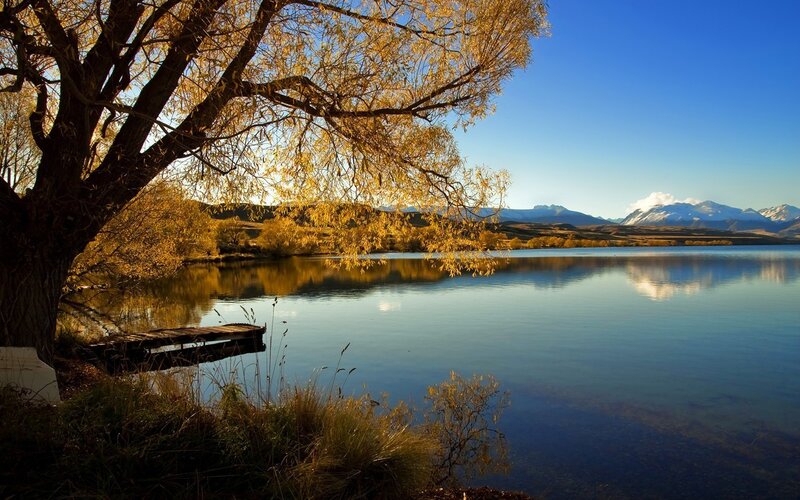 Autumn Tree by Lake — Blue, Serene, Photograph, Mountains, Dock, Yellow