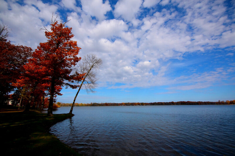 Autumn Tree by Lake — Blue, Serene