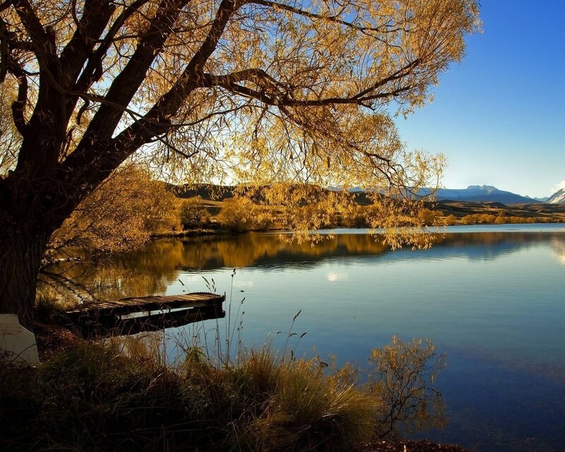 Autumn Tree by Lake — Blue