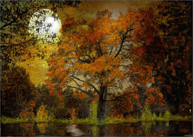 Autumn Tree by Lake — Orange, Serene, Night