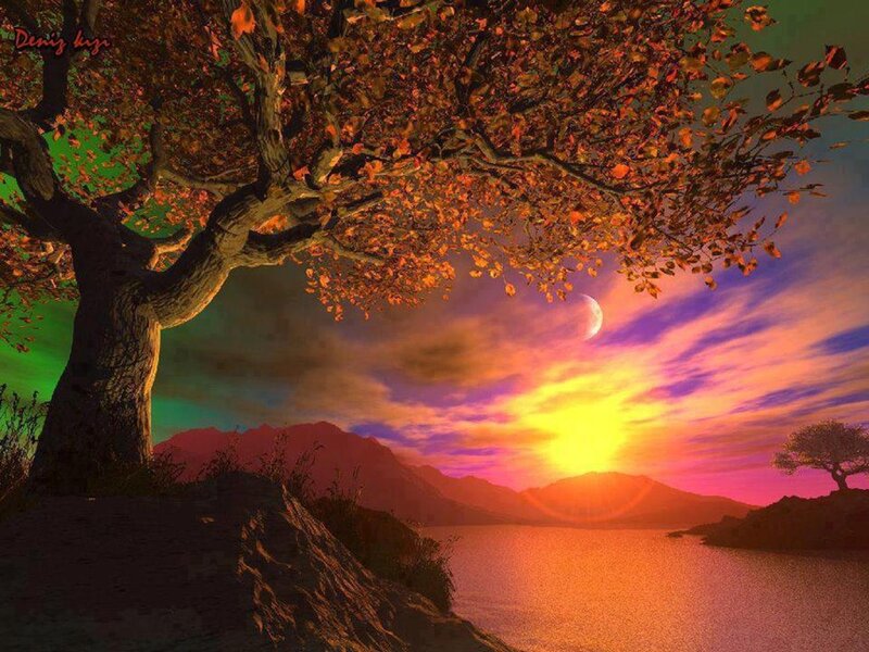 Autumn Tree by Lake — Orange, Serene, Sunset, Digital Art