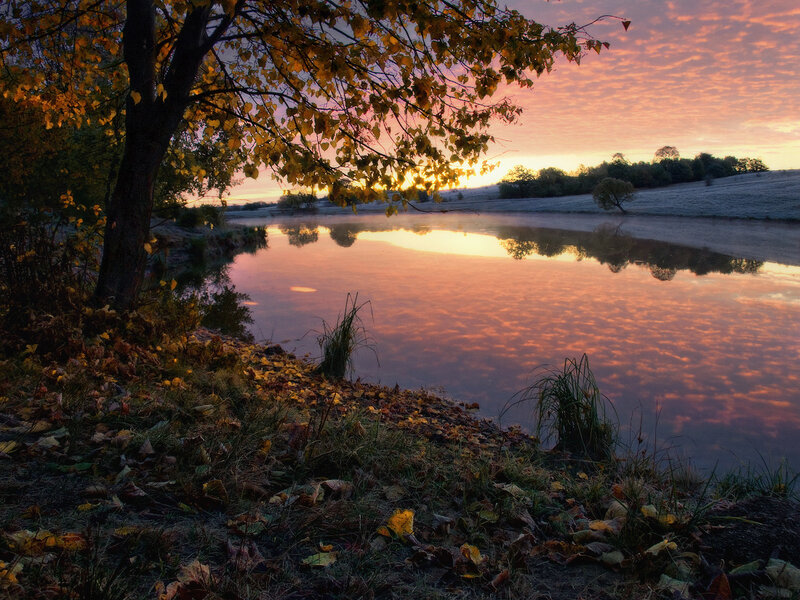 Autumn Tree by Lake — Orange, Serene, Sunset, Photograph, Sky, Leaves
