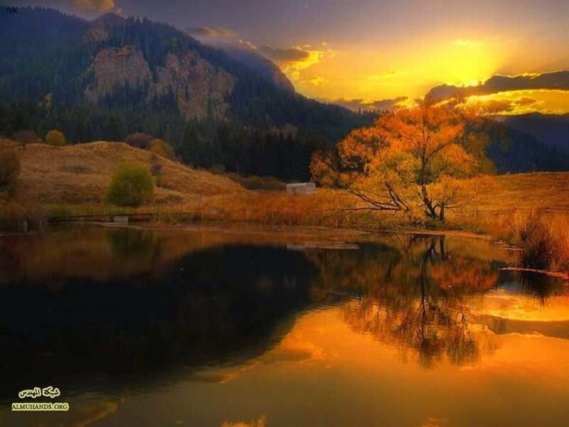 Autumn Tree by Lake — Orange, Serene, Sunset, Photograph