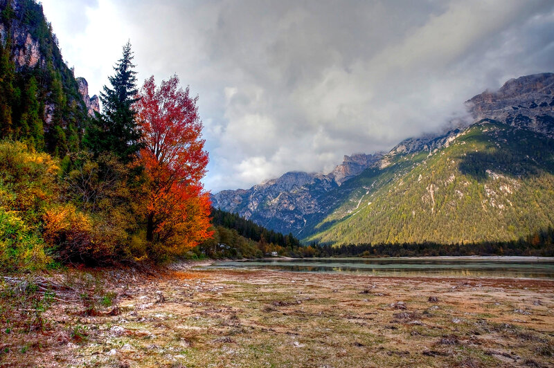 Autumn Tree by Lake — Red, Dramatic, Photograph