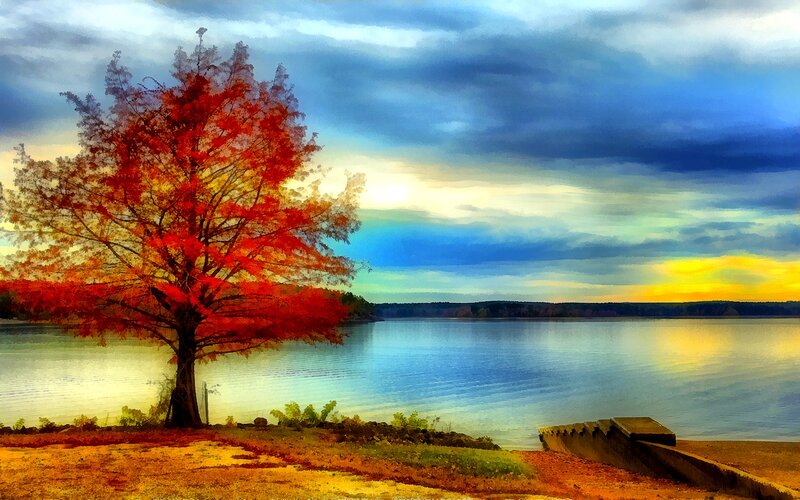 Autumn Tree by Lake — Red, Dramatic, Sunset