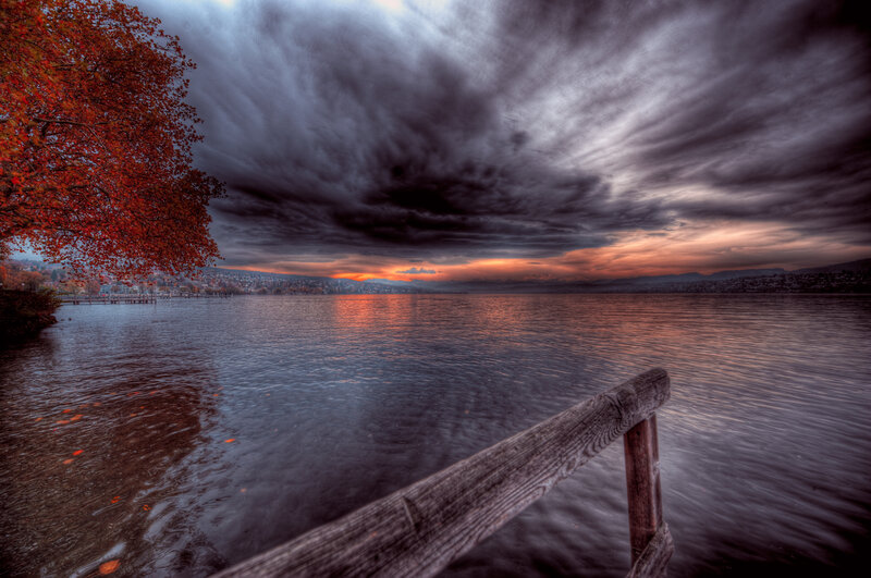 Autumn Tree by Lake — Red, Dramatic