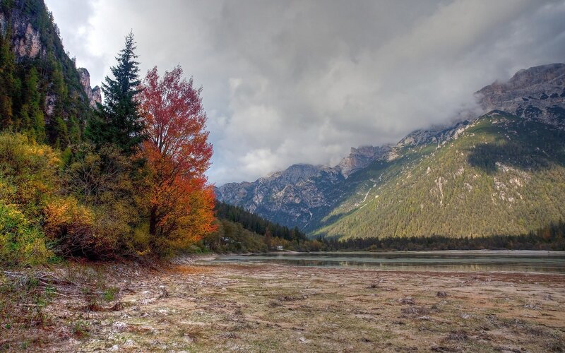 Autumn Tree by Lake — Red, Serene, Photograph, Mountains