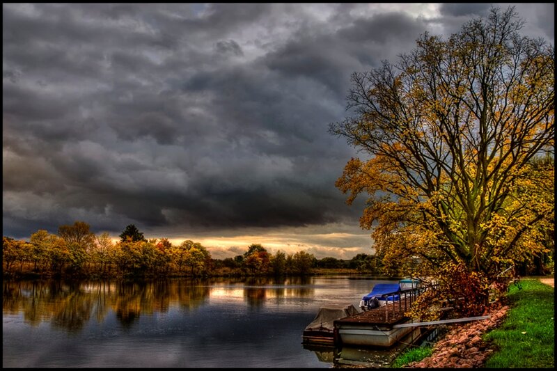 Autumn Tree by Lake — Yellow, Dramatic