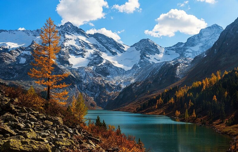 Autumn Tree by Mountain Lake — Blue