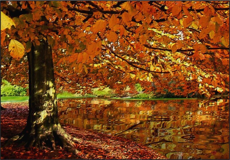 Autumn Tree by Pond — Orange, Serene, Photograph