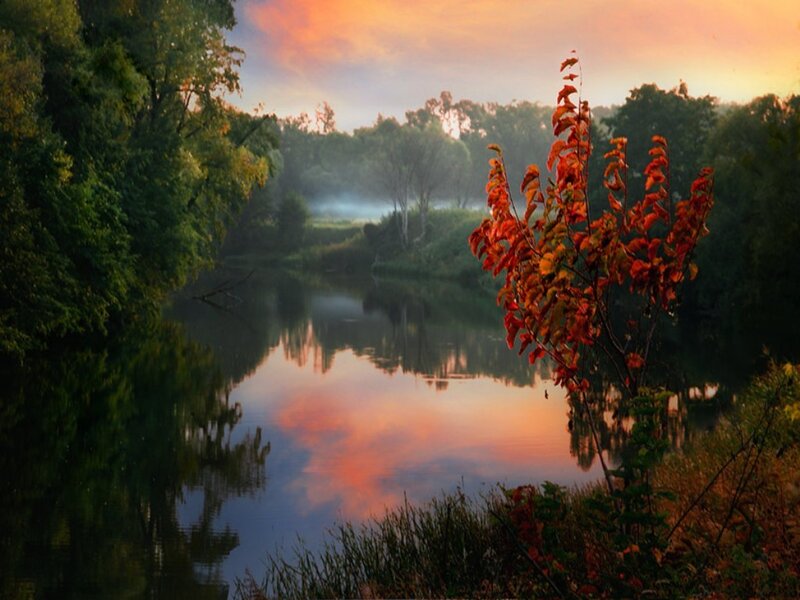 Autumn Tree by River — Orange, Serene, Sunset