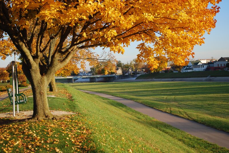 Autumn tree by river path
