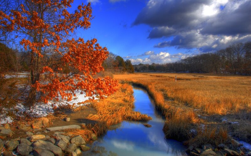 Autumn Tree by Stream — Blue, Dramatic, Photograph, Field, Sky
