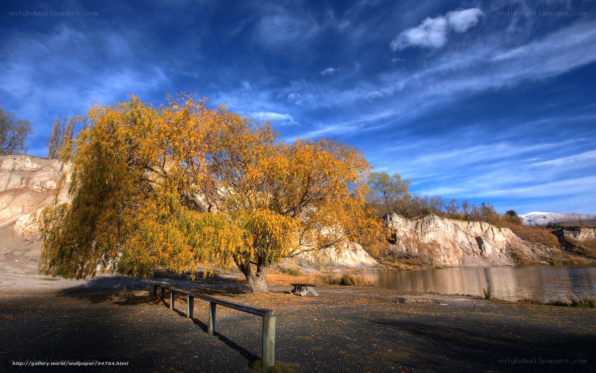 Autumn tree by the lake