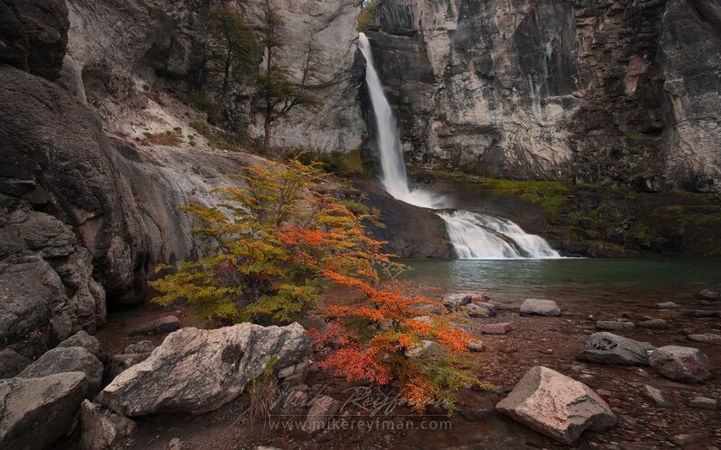 Autumn Tree by Waterfall — Orange, Serene, Photograph