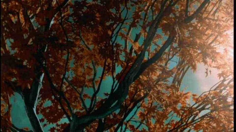 Autumn Tree Canopy — Orange, Serene