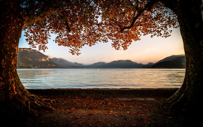 Autumn Tree Framing Lake
