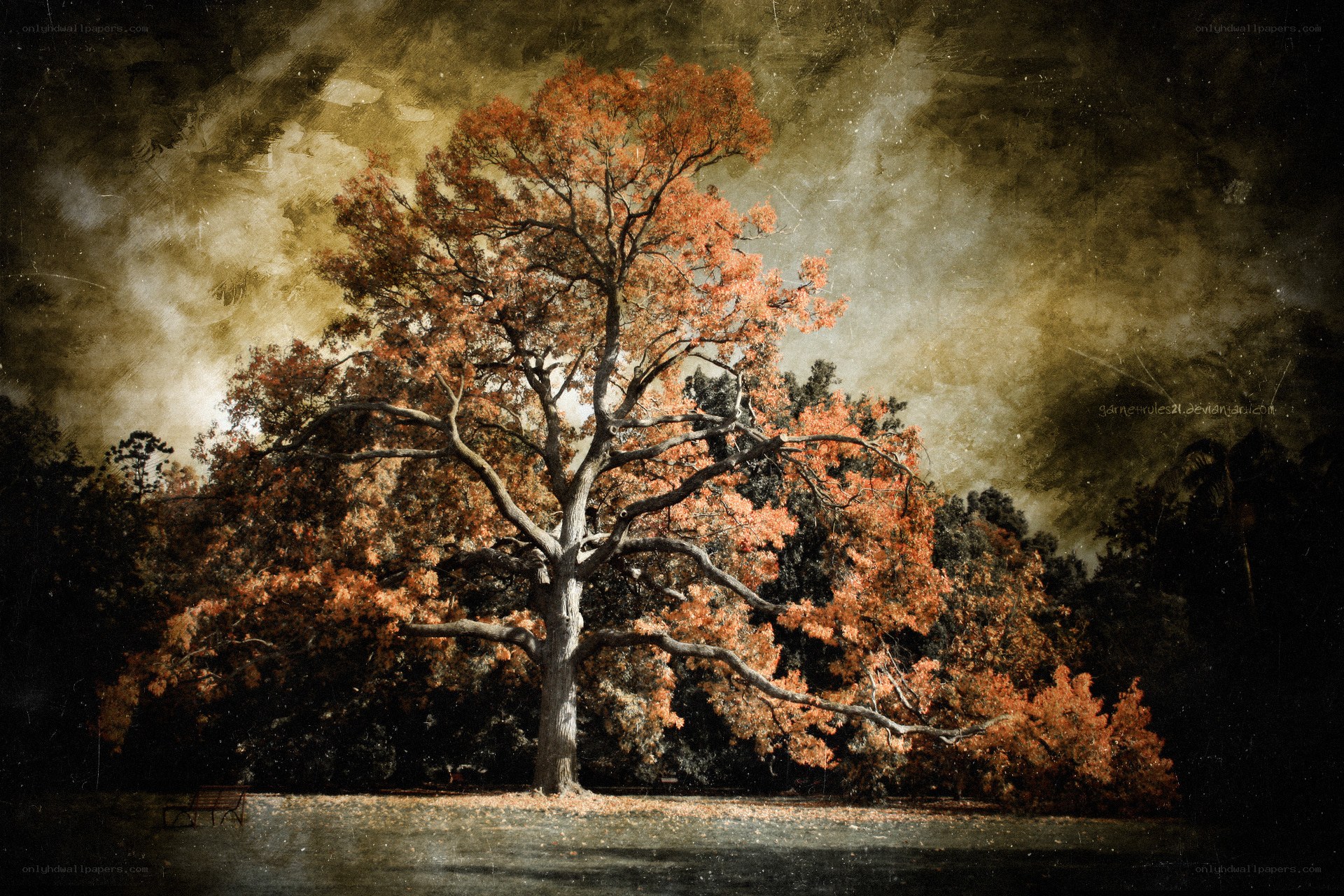 Autumn tree in a park